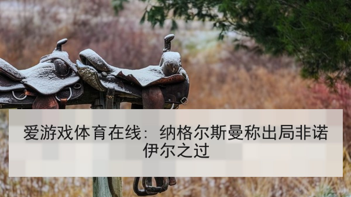 爱游戏体育在线: 纳格尔斯曼称出局非诺伊尔之过