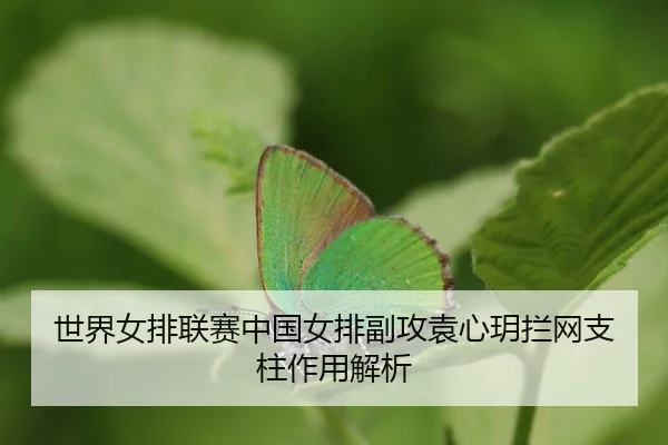 shi-jie-nv-pai-lian-sai-zhong-guo-nv-pai-fu-gong-yuan-xin-yue-lan-wang-zhi-zhu-zuo-yong-jie-xi-3-166.jpg