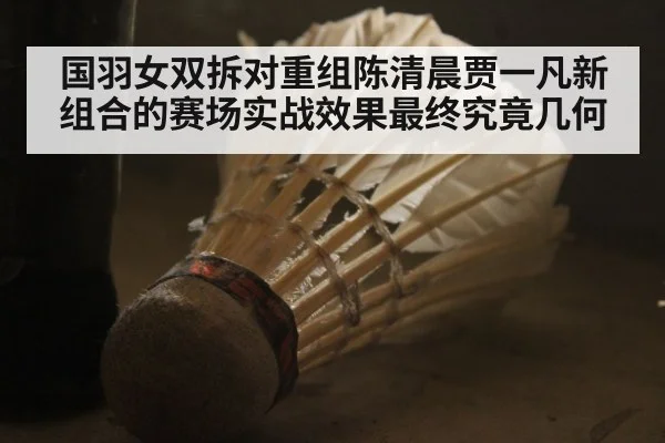 国羽女双拆对重组陈清晨贾一凡新组合的赛场实战效果最终究竟几何